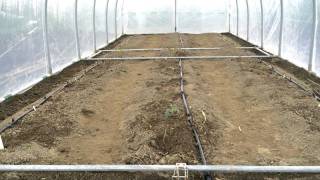 Layout in the hoophouse
